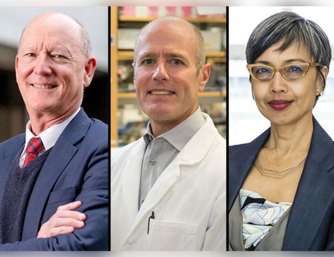 Pulmonologist Paul W. Noble, neurologist S. Thomas Carmichael and public health pioneer Ninez A. Ponce. Three professional headshot photographs displayed side by s ide showing business professionals in formal attire against neutral backgrounds.