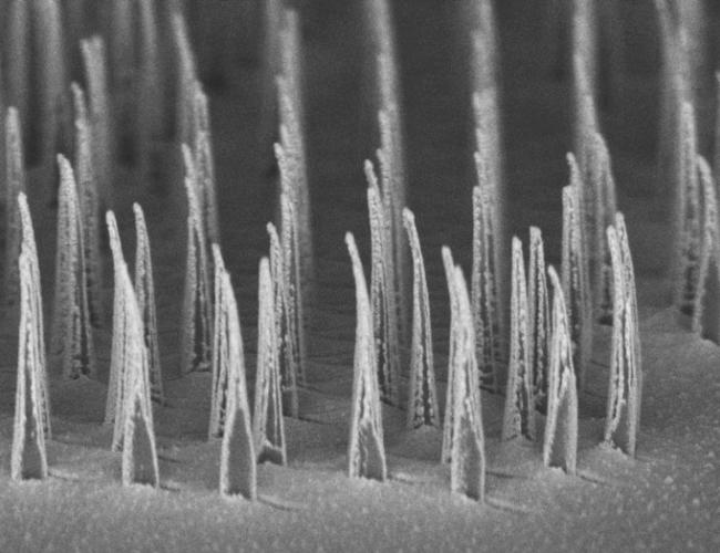 nanospears engineered for gene therapy