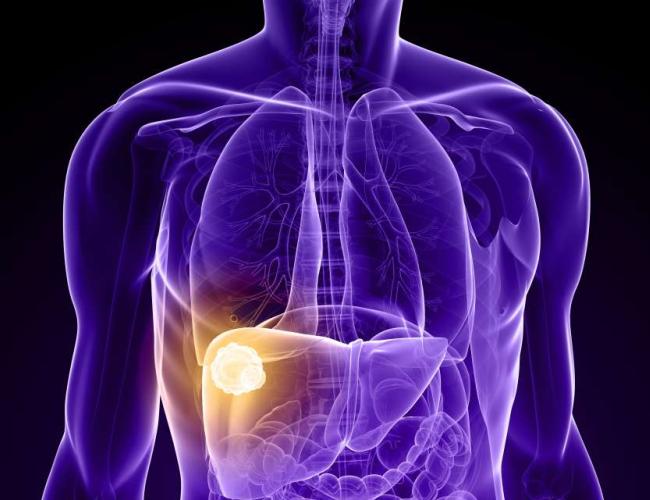 Image credit: Shutterstock