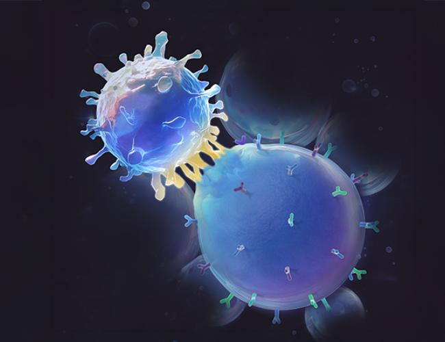 Illustration of a UCLA-developed SynVAC activating a T-cell.