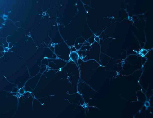 Digitally recreated brain cells are featured in light blue against a dark blue backdrop. 