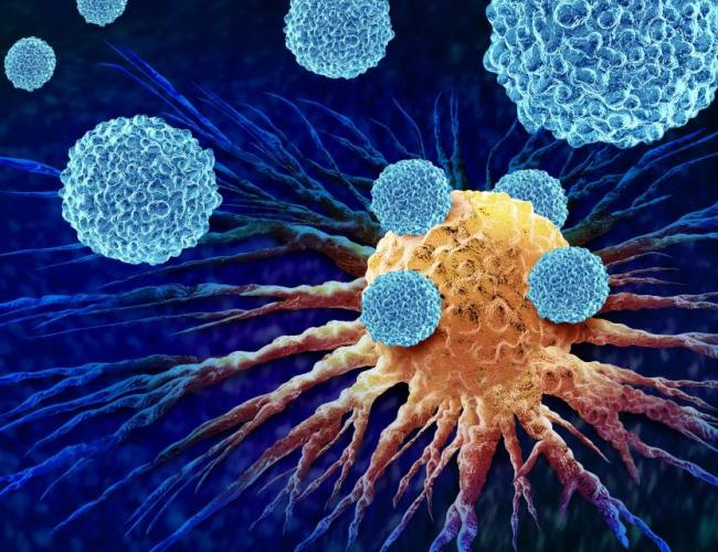 T cells attacking a tumor cell in a solid cancer, illustrating immune response and T cell exhaustion in cancer immunotherapy.