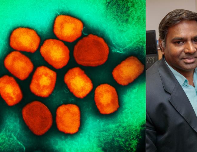 Side-by-side image showing a colorized electron microscope view of monkeypox virus particles and a portrait of UCLA researcher Vaithi Arumugaswami in his office