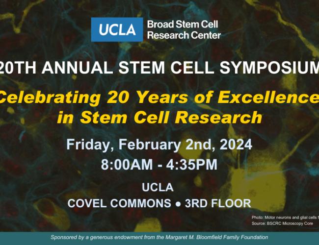 Text with a background image of stem cells