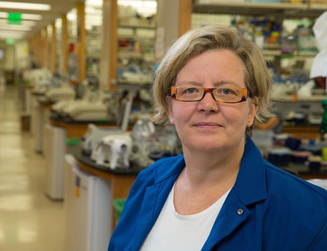 Kathrin Plath stands in a UCLA lab and smiles at the camera.
