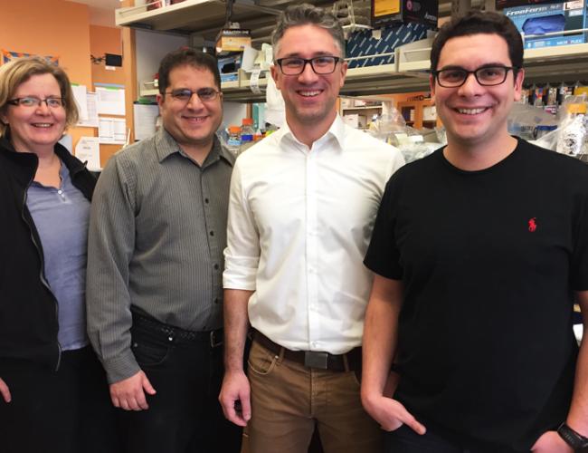 From left: senior authors Kathrin Plath and Jason Ernst and first authors Petko Fiziev and Constantinos Chronis