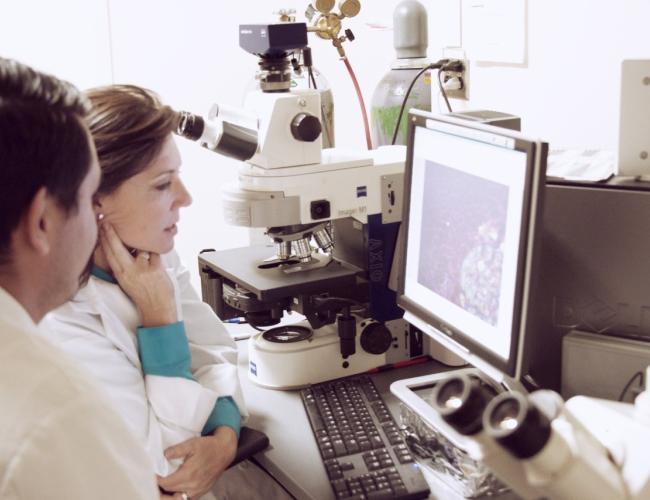 Melissa Spencer and another researcher look upon a screen in a UCLA lab. 