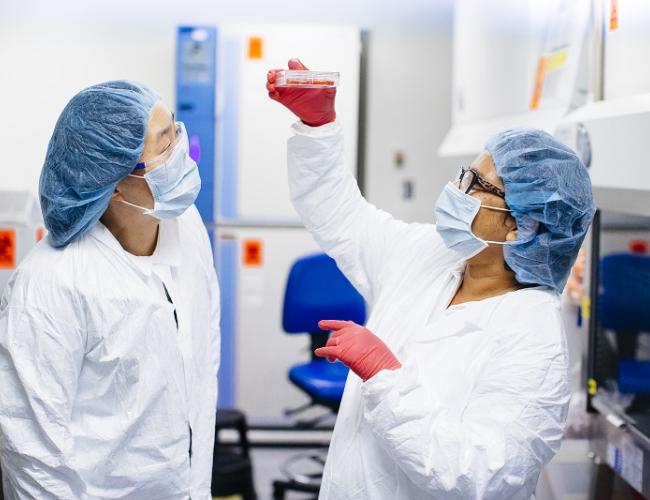 Two scientists in a lab.