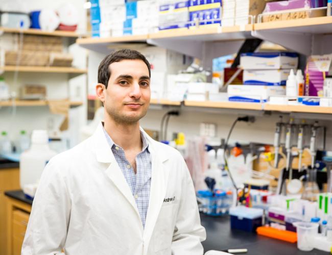 Andrew Goldstein is an assistant professor in residence in the UCLA departments of Urology and Molecular, Cell and Developmental Biology, as well as a member of the Broad Stem Cell Research Center and Jonsson Comprehensive Cancer Center, both at UCLA.