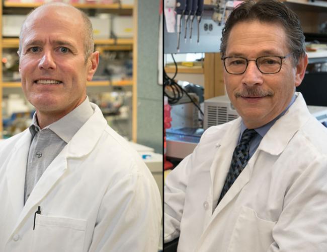 Headshot of S. Thomas Carmichael on left, headshot of Donald Kohn on right