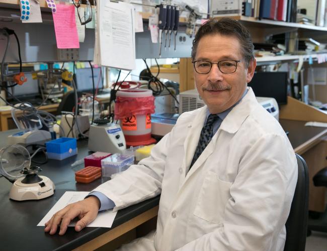 Headshot of Donald Kohn in a lab sitting down