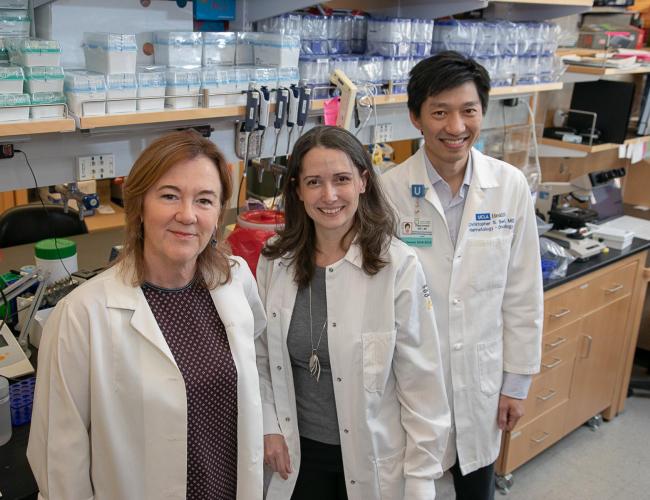 Research by UCLA’s Gay Crooks, Amélie Montel-Hagen and Christopher Seet could point the way toward “off-the-shelf” T cell therapies that are more readily available to patients.