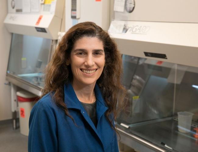 Hilary Coller in the lab.