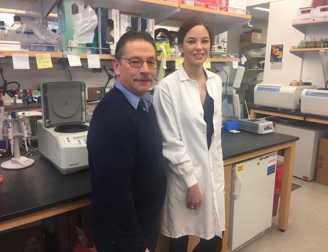Led by Dr. Donald Kohn and Katelyn Masiuk, the researchers engineered a “viral vector” that would turn on the FoxP3 gene only in regulatory T cells — and not in other types of cells.