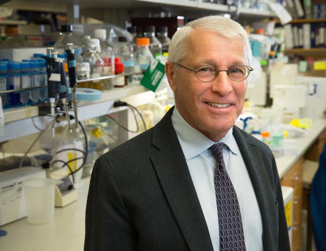 Headshot of Owen Witte