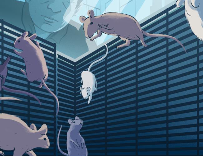 Illustration of mice adapting to their custom-designed space habitat on board the International Space Station