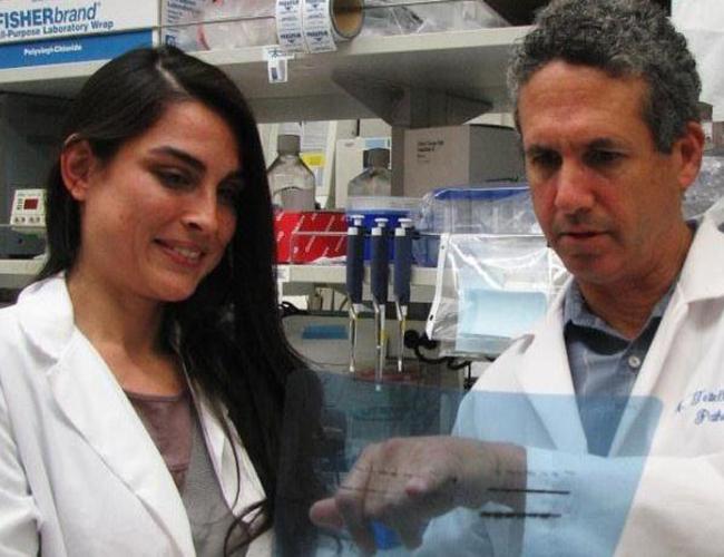 CSUN Bridges grant trainee Sarah Imam and UCLA mentor Dr. Michael Teitell