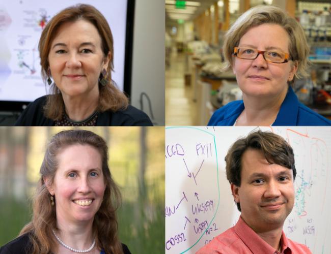 Clockwise from top left: Dr. Gay Crooks, Kathrin Plath, William Lowry and Dr. Brigitte Gomperts