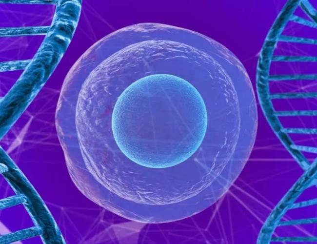 Gene imagery.