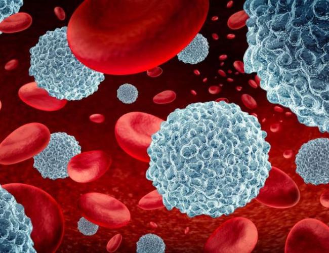 A computer rendering of white blood cells and Immunotherapy lymphocyte cells with red blood cells.