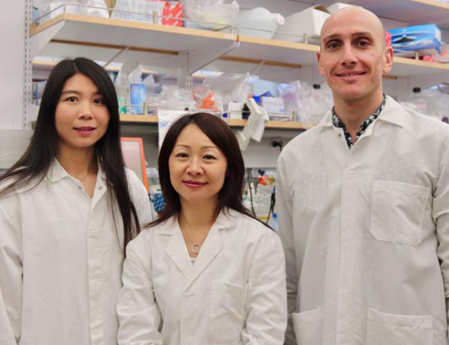 Lili Yang (center) with first authors Xiaoya Ma (left) and Stefano Di Biase