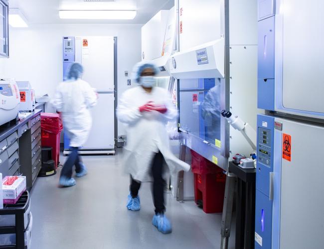 Scientists walk around in a UCLA laboratory wearing full PPE.