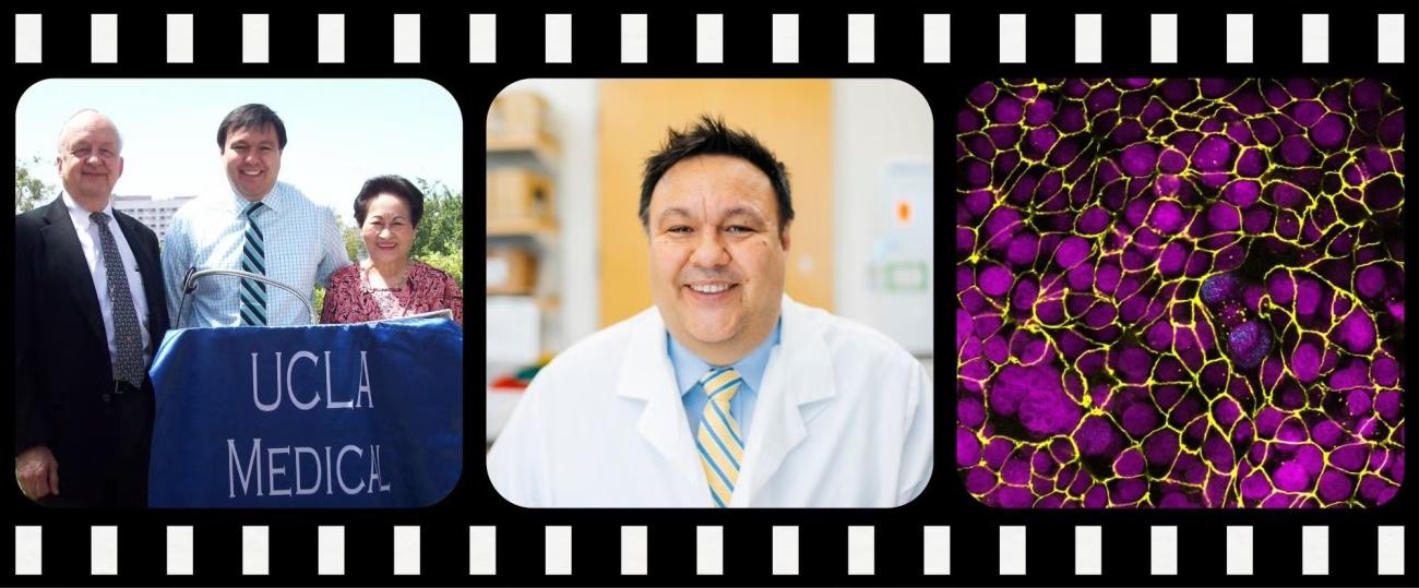 Dr. Steven Jonas, UCLA Medical researcher, shown in three panels: posing with colleagues at a UCLA Medical event, in a professional portrait wearing a white lab coat, and a fluorescence microscopy image of cells.