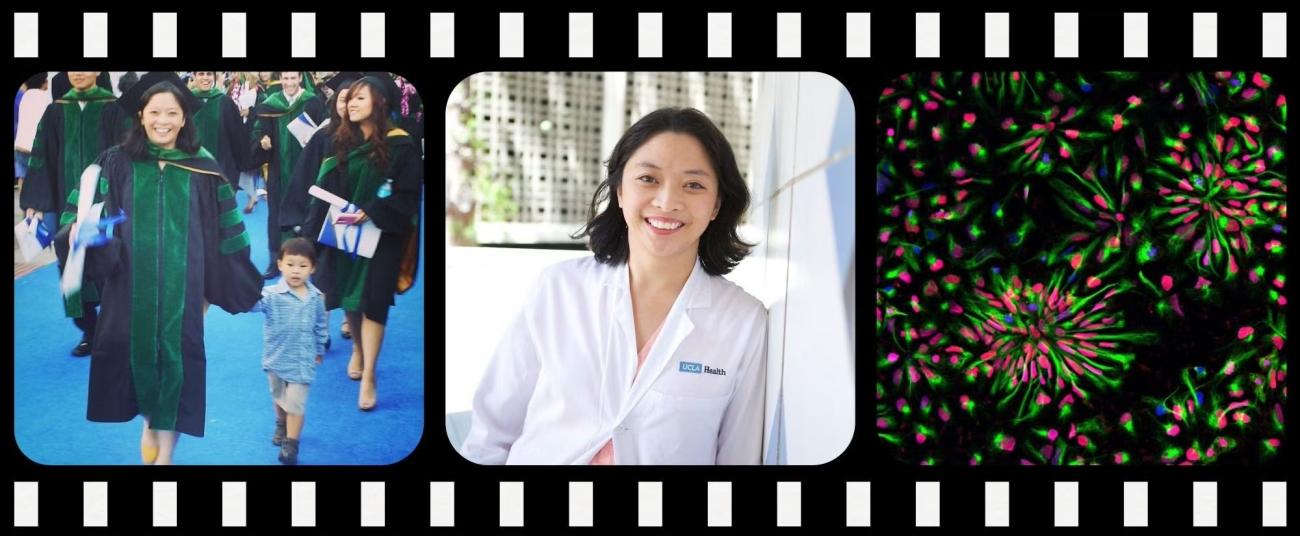 Dr. Valerie Arboleda at her medical school graduation in academic regalia with a young child, in a professional portrait wearing a UCLA Health lab coat, and a fluorescence microscopy image of neuroprogenitor cells.