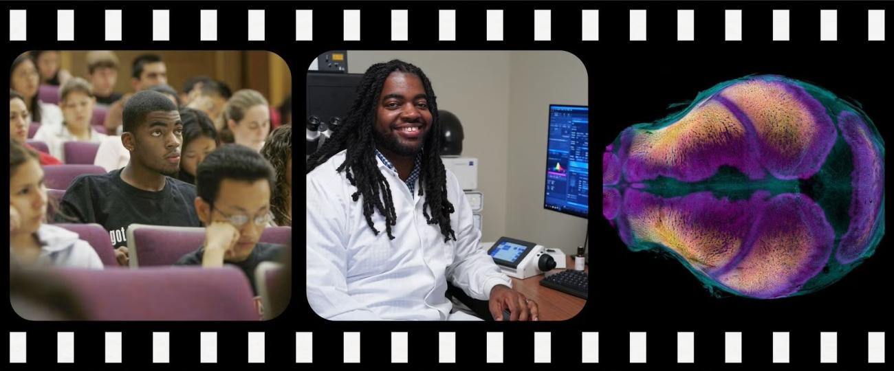 Dr. D'Juan Farmer as a student in a college lecture hall, in a professional portrait wearing a lab coat at a microscopy workstation, and a fluorescence microscopy image of a mouse skull showing craniofacial structures.