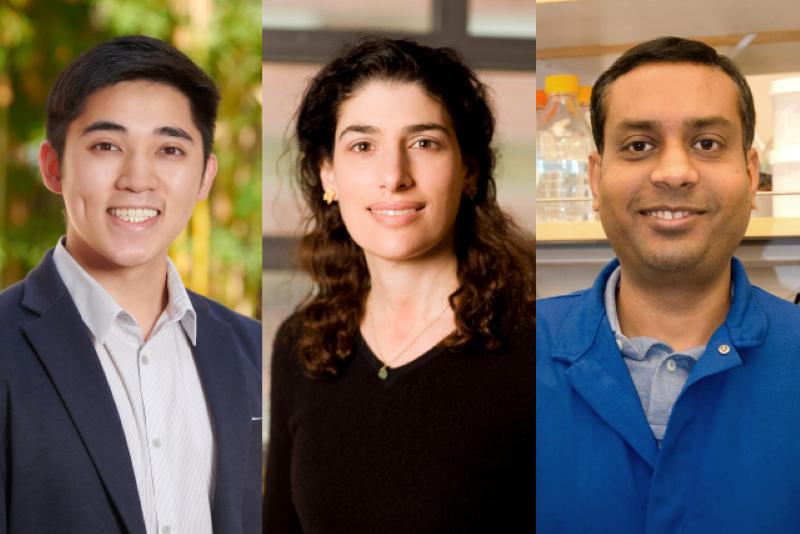 Study authors: Michael Cheng, Hilary Coller, PhD and Mithun Mitra, PhD