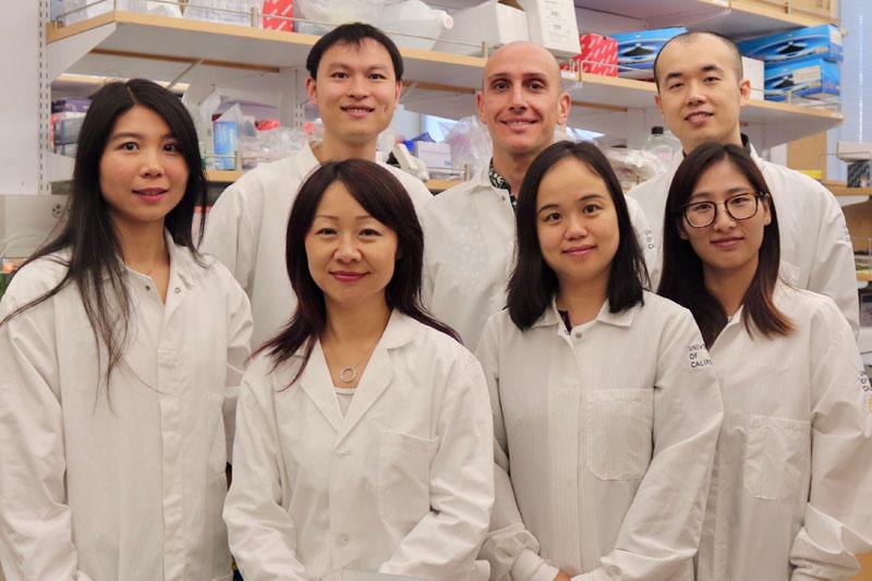 First row left to right: Jessie Xiaoya Ma, Lili Yang, Shirley Xi Wang, and Alice Yang Zhou. Second row, left to right: Victor Jiaji Yu, Stefano Di Biase and Ryan Yu-Chen Wang.