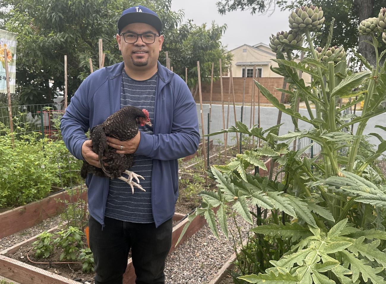 Dr. Anthony Covarrubias stands in his garden holding a chicken