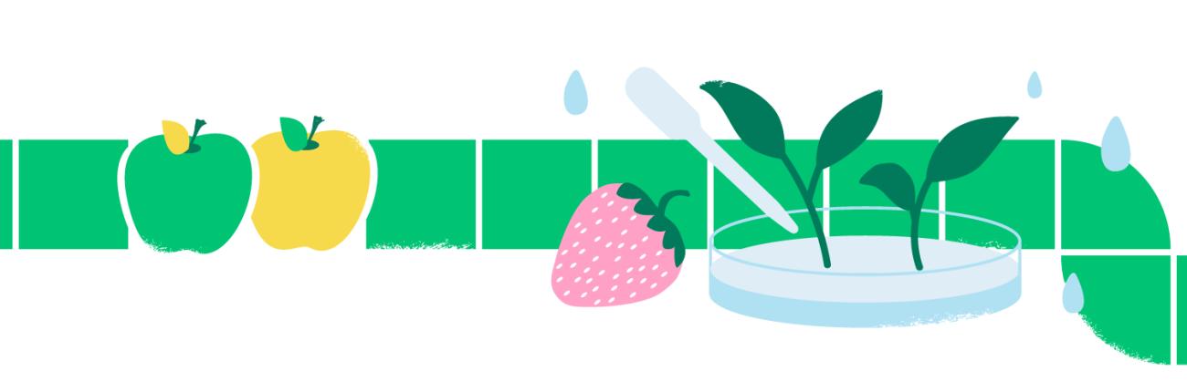 A graphic banner showing fruits and growing plants.