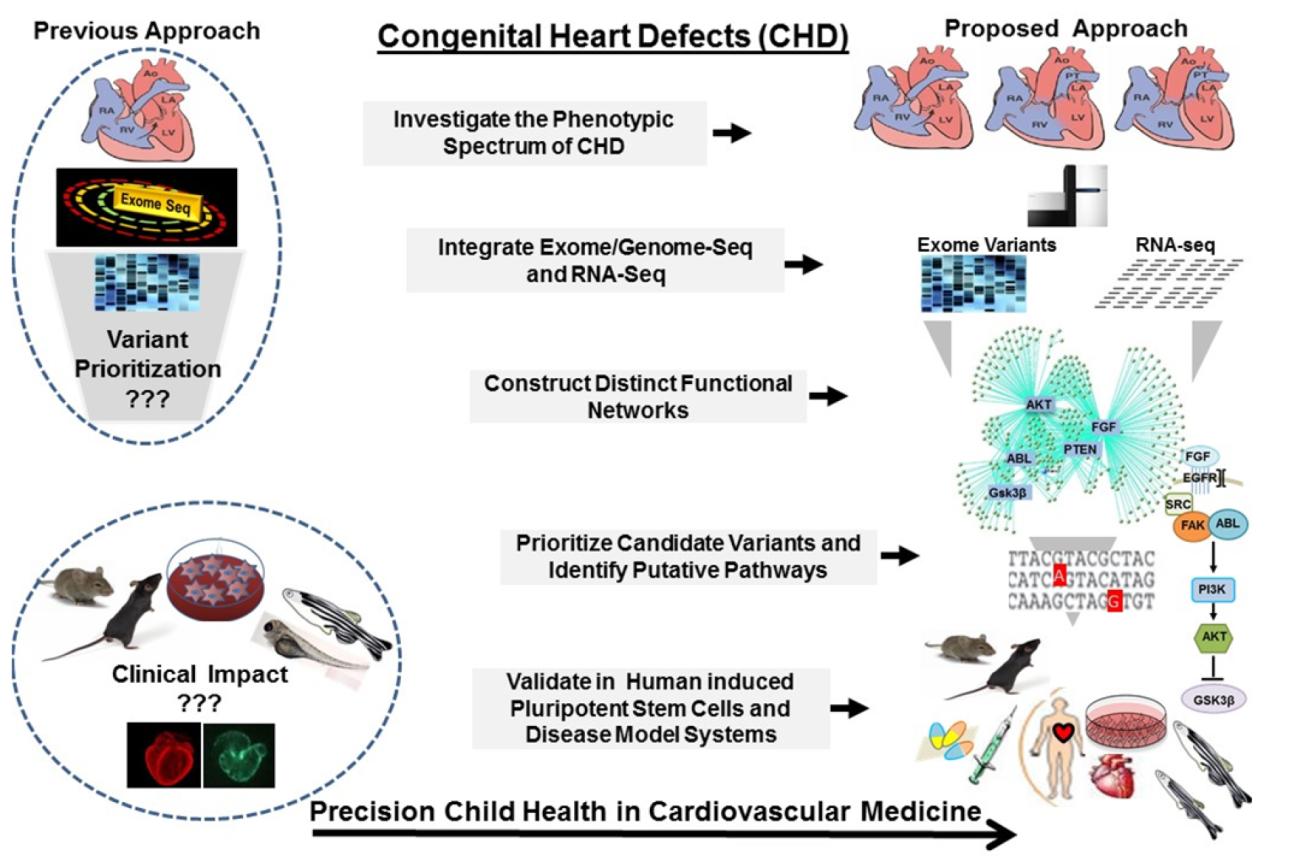 An illustration of Dr. Marlin Touma’s “Bedside-to-Bench” research model.