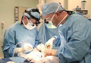Transplant surgery at UCLA