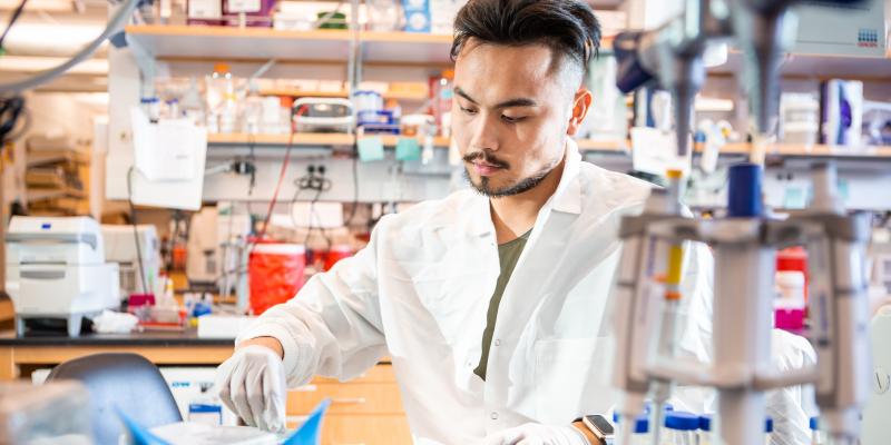 Researchers at work in a UCLA lab.