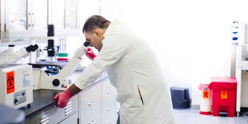 A UCLA researcher leans into microscope.