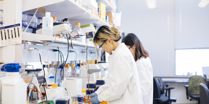 two scientists working at a lab bench at UCLA