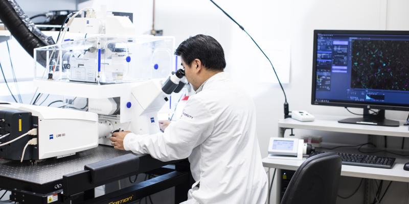 A scientist looks into a high-tech microscope in a lab