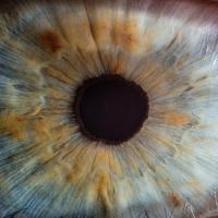 Close-up image of a human eye