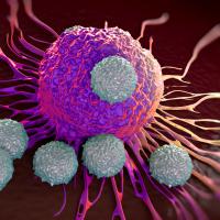 An illustration of T cells attacking cancer cells.