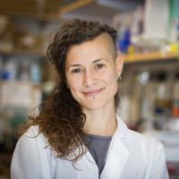 UCLA scientist Zulema Romero smiles in the lab.