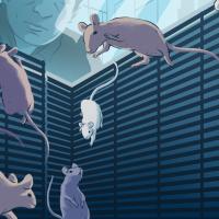 Illustration of mice adapting to their custom-designed space habitat on board the International Space Station