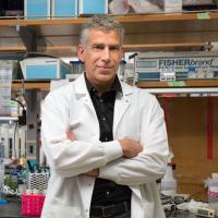 Tom Graeber Headshot