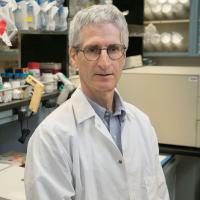 Ken Dorshkind Headshot