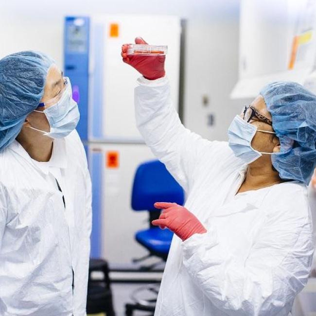 Two researchers observe a sample in a UCLA lab.
