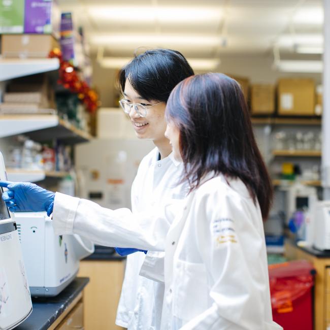 Lili Yang and a lab member work in a UCLA facility. 