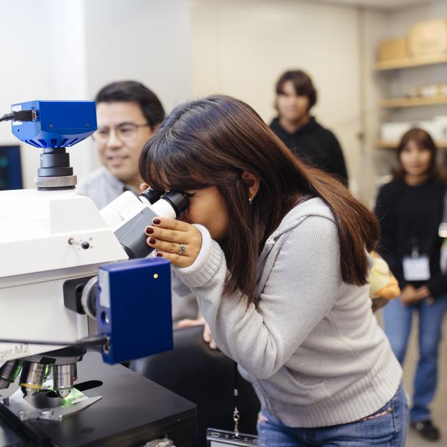 A high school student from East Los Angeles Renaissance Academy looks at neural cells under a high-resolution microscope