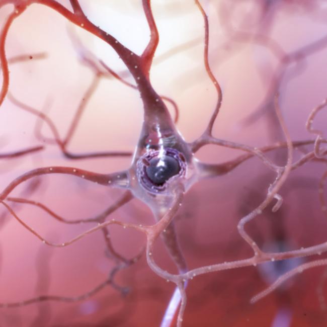 artistic rendering of a healthy neuron