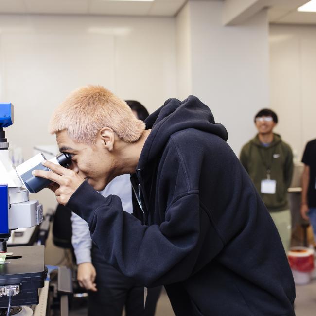high school student with pink hair looking into a microscope